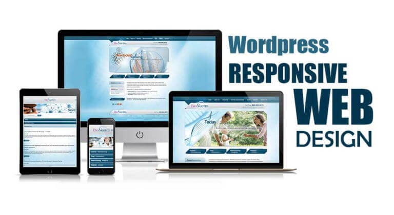 wordpress website design